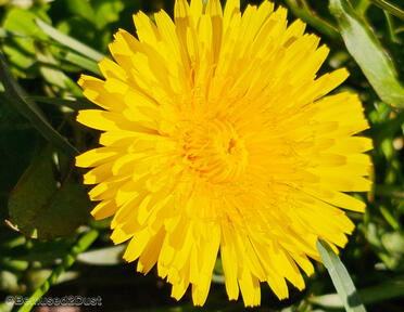 ~ The Sun Can Be Gentle In Other Ways ~