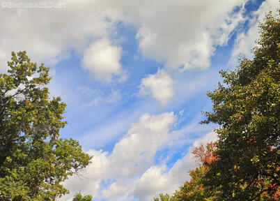 ~ The View of Humility ~