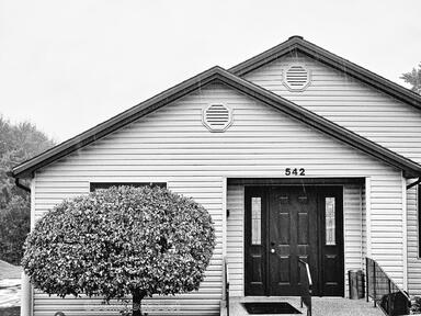 ~ The Dentist and the Rain ~