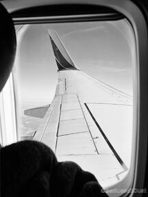 ~ Awed By the Skies ~